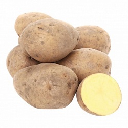Картофель (вес) Белый Россия