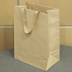 Сумка бумажная премиум ВС (5493)