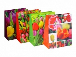 Сумка ЛА бумажная ВС