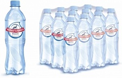 Вода Черноголовка 0,5л Негаз ПЭТ