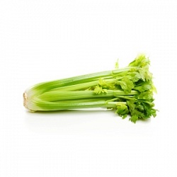 Сельдерей (вес) Стебель