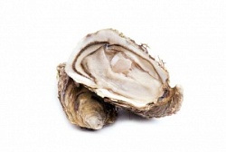 Устрица крымская (шт) Фин Де Клер 100+