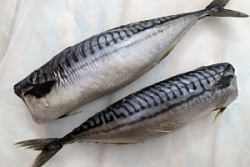 Скумбрия провесная, вес. СП